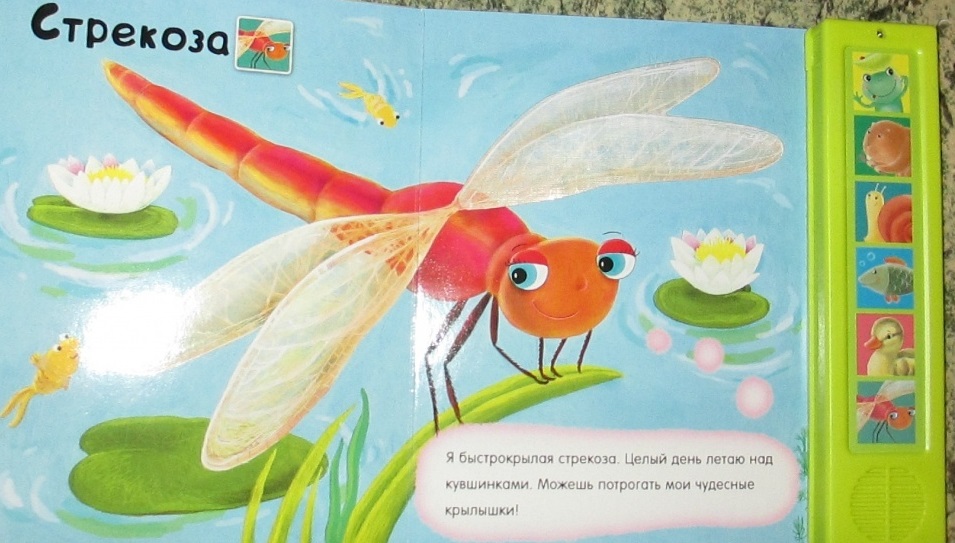 Озвученная книга - Лягушонок и его друзья из серии Погладь меня  